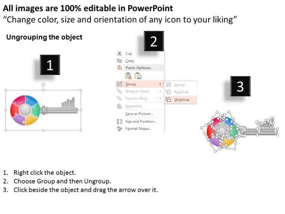 business_diagram_key_shaped_pie_graph_for_result_display_presentation_template_2