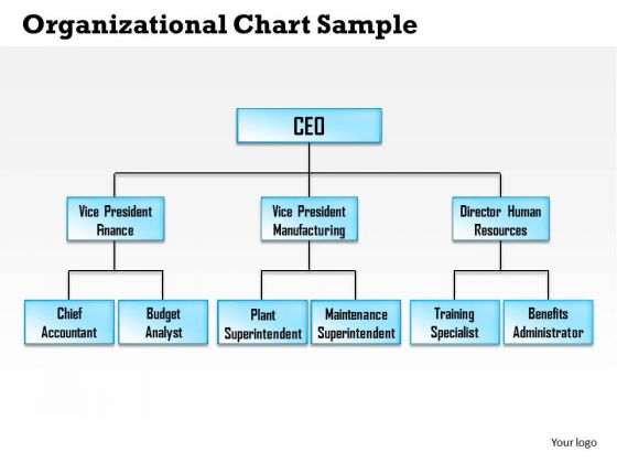 Business Organizational Chart Example