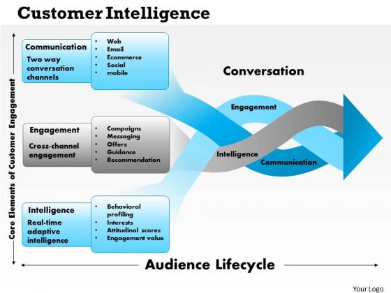 Business Framework Customer Intelligence PowerPoint Presentation Business Framework Customer Intelligence PowerPoint Presentation