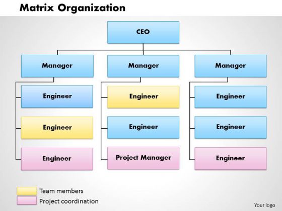 matrix organization