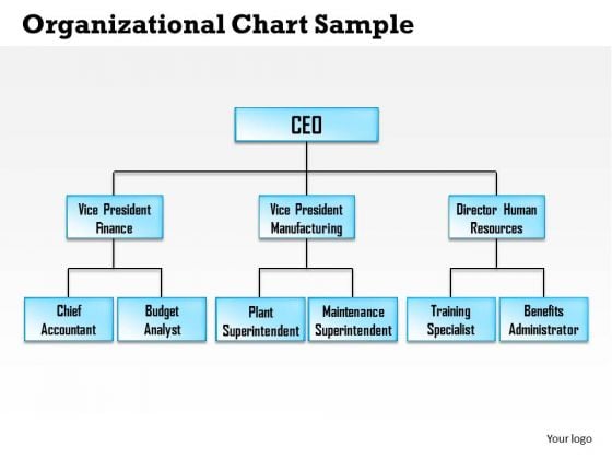 Ceo Organizational Chart