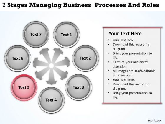 Business Process Management Diagram Download Processes And Roles PowerPoint Templates