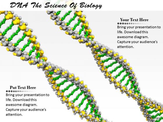 Business Process Strategy Dna The Science Of Biology Images