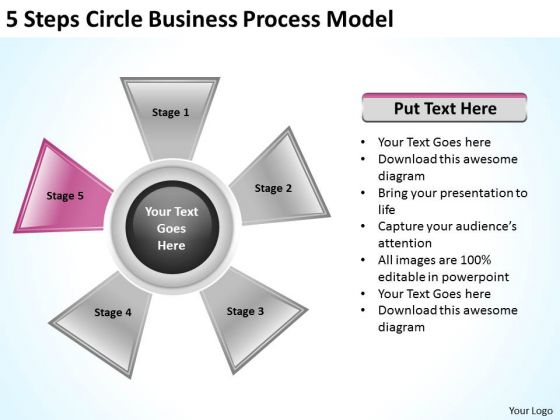 Business Strategy Consultants 5 Steps Circle Process Model Plan