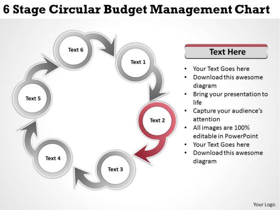 Business Strategy Review 6 Stage Circular Budget Management Chart Planning