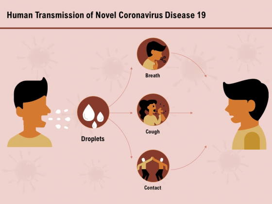 COVID 19 Pandemic Disease Human Transmission Of Novel Coronavirus Disease 19 Icons PDF COVID 19 Pandemic Disease Human Transmission Of Novel Coronavirus Disease 19 Icons PDF
