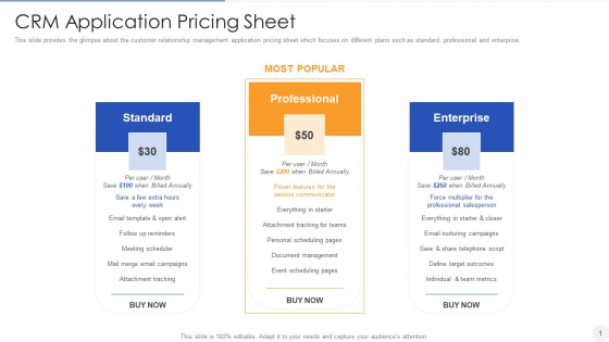 CRM Application Pricing Sheet Background PDF