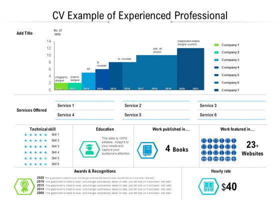 CV Example Of Experienced Professional Ppt PowerPoint Presentation Professional Infographic Template PDF