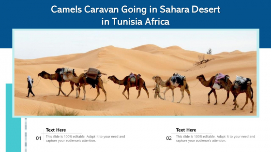Camels Caravan Going In Sahara Desert In Tunisia Africa Ppt PowerPoint Presentation Icon Slides PDF