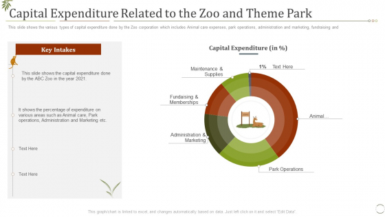 Capital Expenditure Related To The Zoo And Theme Park Ppt Themes PDF
