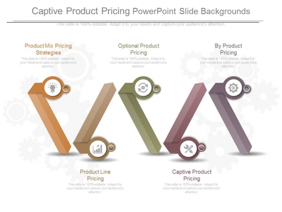 Captive Product Pricing Powerpoint Slide Backgrounds