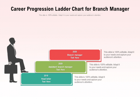 Career Progression Ladder Chart For Branch Manager Ppt PowerPoint Presentation Icon Backgrounds PDF