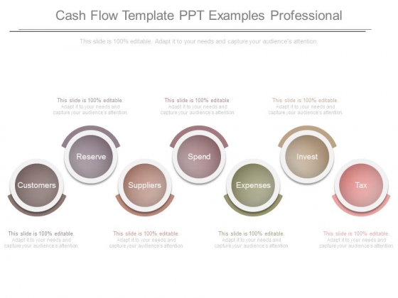 Cash Flow Template Ppt Examples Professional
