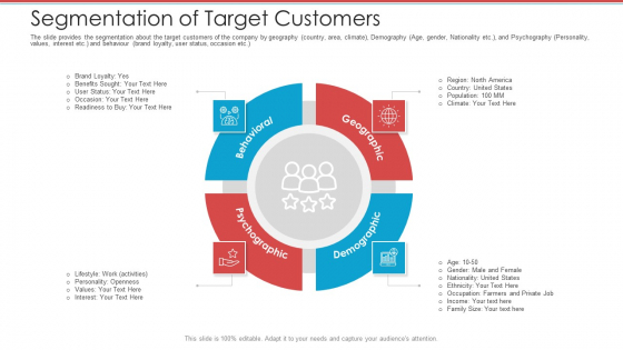 Cash Market Investor Deck Segmentation Of Target Customers Ppt Gallery Template PDF Cash Market Investor Deck Segmentation Of Target Customers Ppt Gallery Template PDF