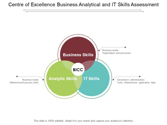 centre-of-excellence-business-analytical-and-it-skills-assessment-ppt