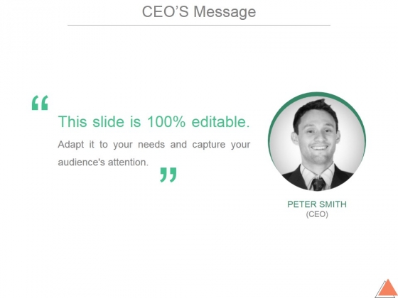 Ceos Message Template 2 Ppt PowerPoint Presentation Styles