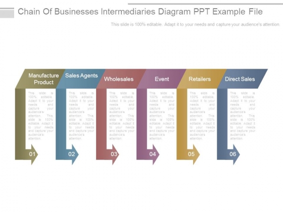 Chain Of Businesses Intermediaries Diagram Ppt Example File Chain Of Businesses Intermediaries Diagram Ppt Example File