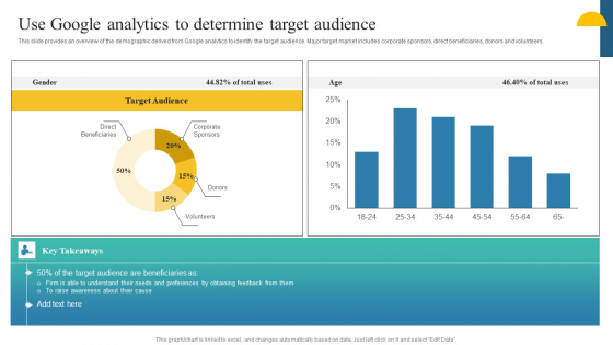 Charity Fundraising Marketing Plan Use Google Analytics To Determine Target Audience Template PDF