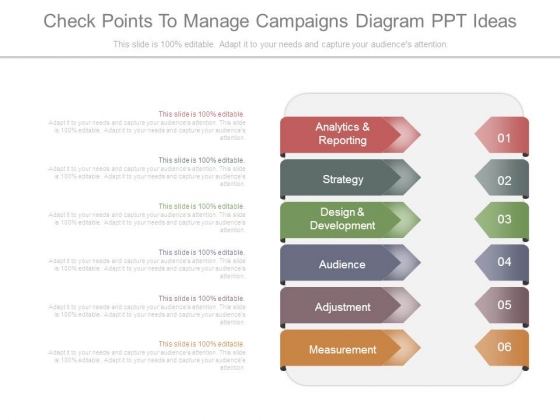 Check Points To Manage Campaigns Diagram Ppt Ideas