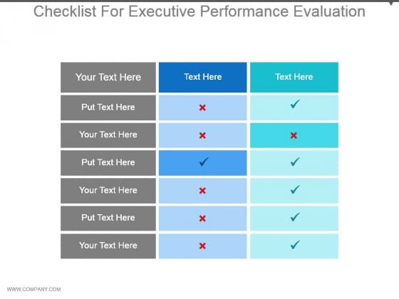 Checklist For Executive Performance Evaluation Good Ppt Example
