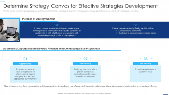 Chief Strategy Executive Playbook Determine Strategy Canvas For Effective Strategies Development Background PDF