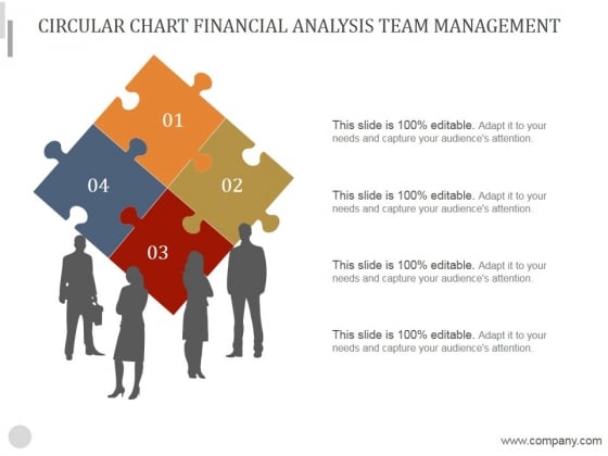 Circular Chart Financial Analysis Team Management Ppt PowerPoint Presentation Guide