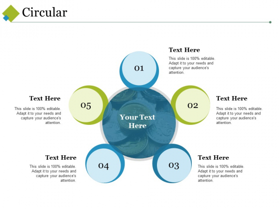 Circular Ppt PowerPoint Presentation Infographic Template Information Circular Ppt PowerPoint Presentation Infographic Template Information