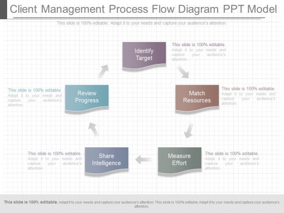 Client Management Process Flow Diagram Ppt Model