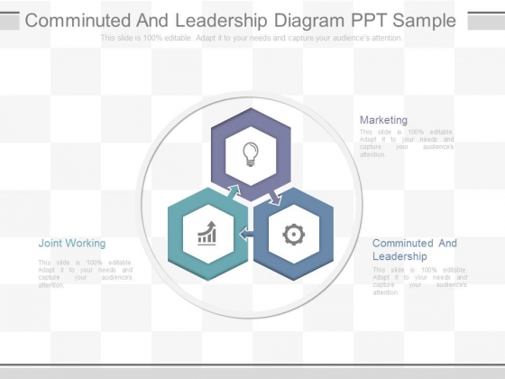 Comminuted And Leadership Diagram Ppt Sample