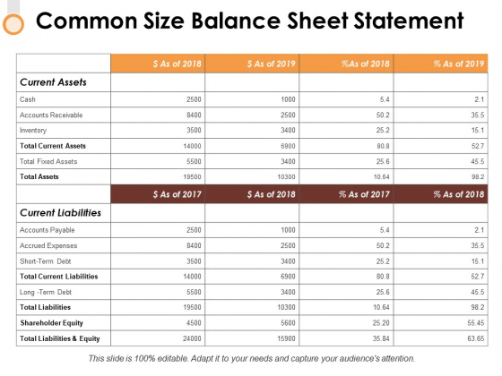 Common Size Balance Sheet Statement Ppt PowerPoint Presentation Model Layouts