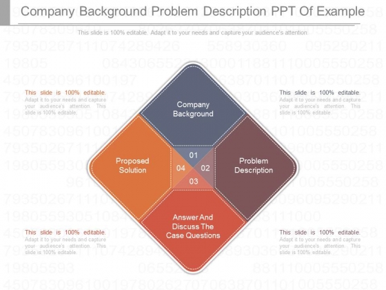 Company Background Problem Description Ppt Of Example