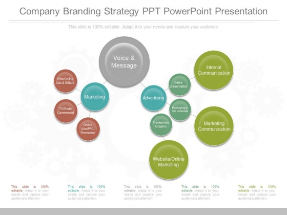 Company Branding Strategy Ppt Powerpoint Presentation