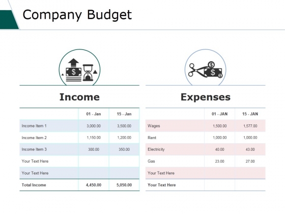 Company Budget Ppt PowerPoint Presentation Summary Graphic Tips