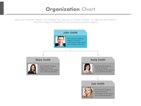 Company Hierarchy Structure Design Powerpoint Slides Company Hierarchy Structure Design Powerpoint Slides