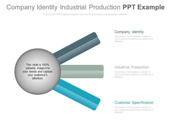 Company Identity Industrial Production Ppt Example