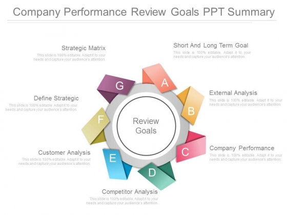 Company Performance Review Goals Ppt Summary