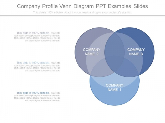 Company Profile Venn Diagram Ppt Examples Slides Company Profile Venn Diagram Ppt Examples Slides