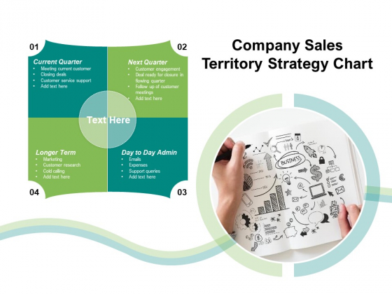 Company Sales Territory Strategy Chart Ppt PowerPoint Presentation Icon Gallery PDF