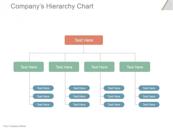 Companys Hierarchy Chart Ppt PowerPoint Presentation Portfolio
