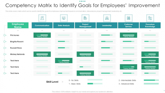 Competency Matrix To Identify Goals For Employees Improvement Template Pdf
