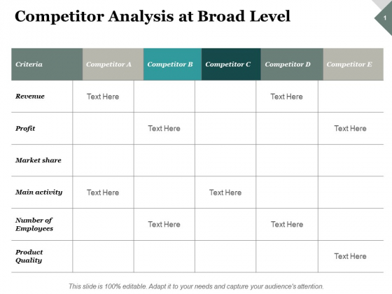 Competitor Analysis At Broad Level Ppt PowerPoint Presentation Summary Infographic Template