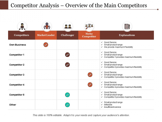 Competitor Analysis Overview Of The Main Competitors Ppt PowerPoint Presentation Model Clipart