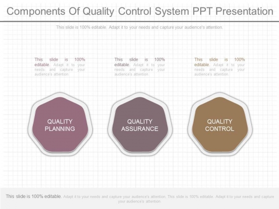 Components Of Quality Control System Ppt Presentation Components Of Quality Control System Ppt Presentation