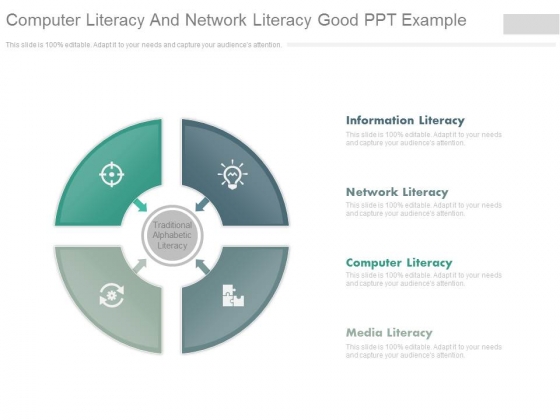 Computer Literacy And Network Literacy Good Ppt Example