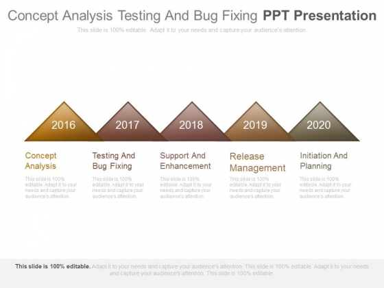 Concept Analysis Testing And Bug Fixing Ppt Presentation Concept Analysis Testing And Bug Fixing Ppt Presentation
