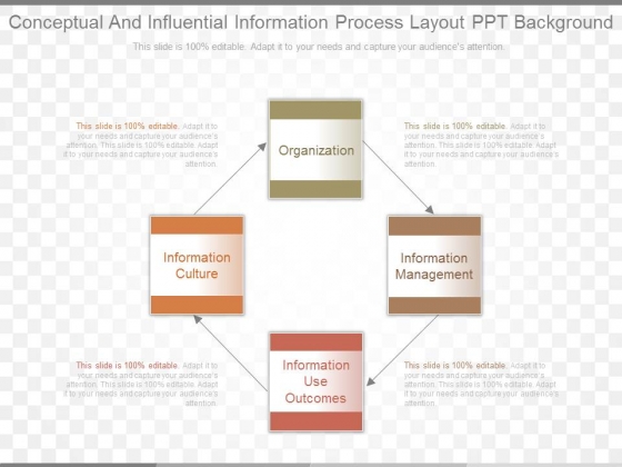 Conceptual And Influential Information Process Layout Ppt Background