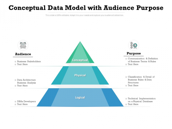 Conceptual Data Model With Audience Purpose Ppt PowerPoint Presentation Infographics Format