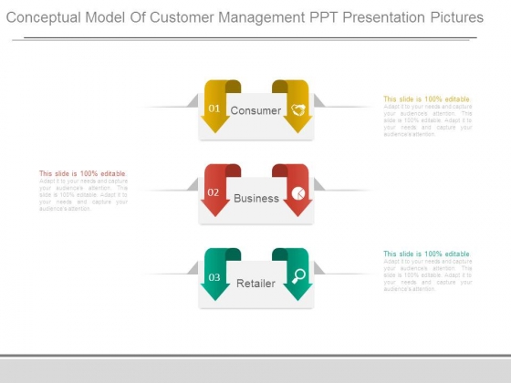 Conceptual Model Of Customer Management Ppt Presentation Pictures