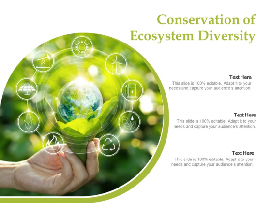 Conservation Of Ecosystem Diversity Ppt PowerPoint Presentation Outline Template