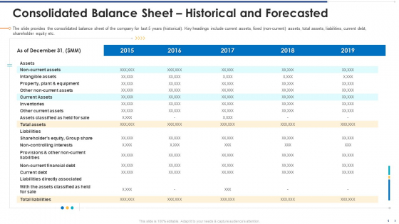 Consolidated Balance Sheet Historical And Forecasted Summary PDF